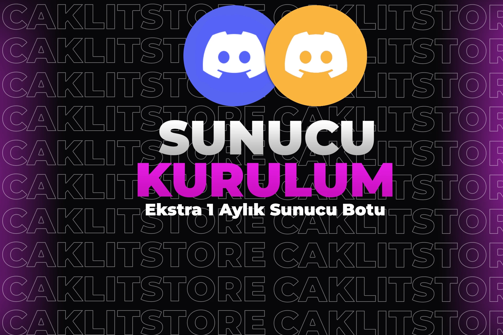 Profesyonel Sunucu Kurulumu ve 1 Aylık Sunucuya Özel BOT